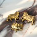 KAMAL-NANDI