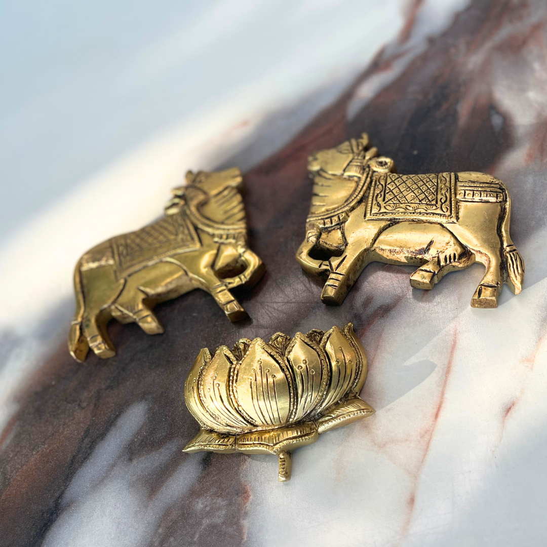 KAMAL-NANDI