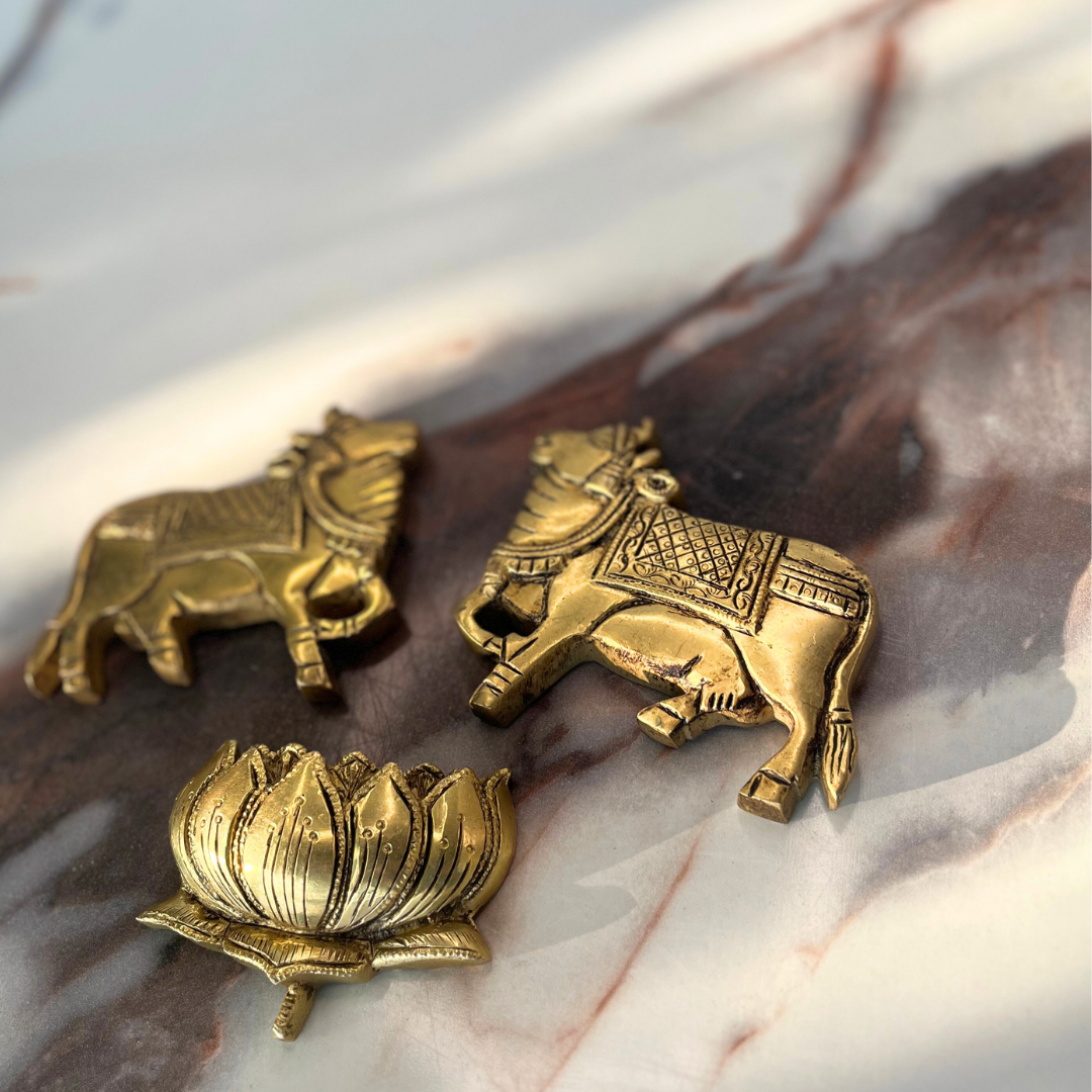 KAMAL-NANDI